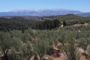Tsivaras Kreta, Tsivaras: Grundstück in malerischer Lage mit Meerblick zu verkaufen Grundstück kaufen